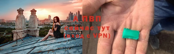 МДПВ Каменка