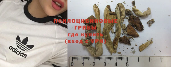 МДПВ Каменка