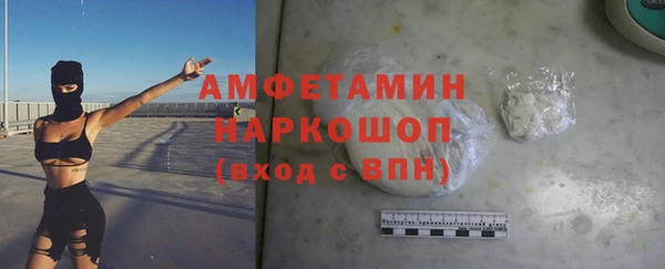 МДПВ Каменка
