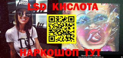 spice Камышлов