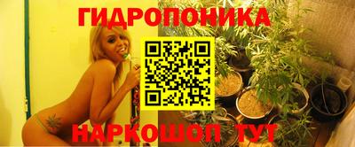 скорость Канаш