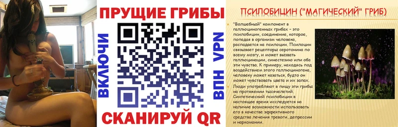 Псилоцибиновые грибы GOLDEN TEACHER  Сосновоборск 