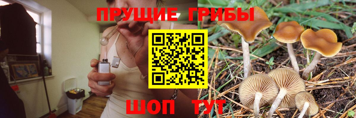 Псилоцибиновые грибы мухоморы Сосновоборск